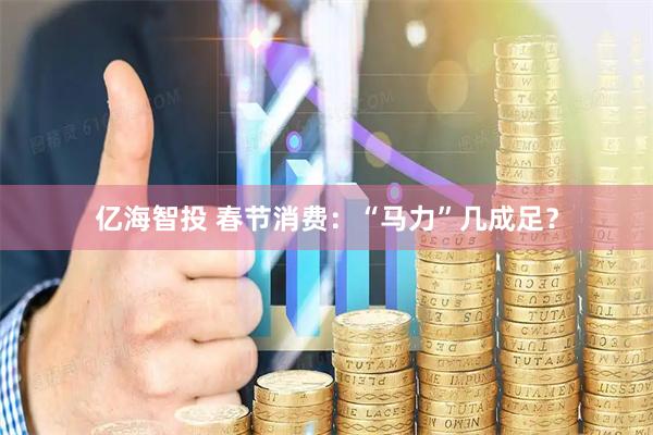 亿海智投 春节消费：“马力”几成足？