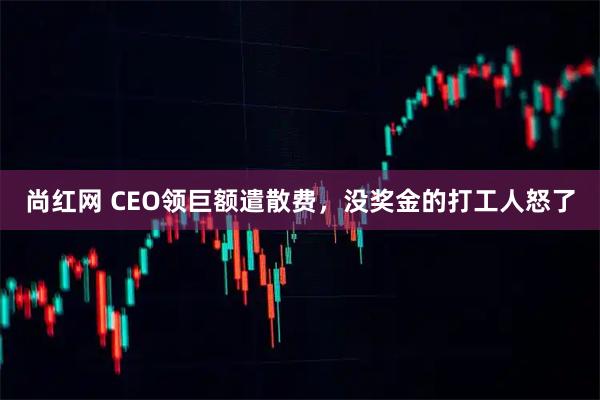 尚红网 CEO领巨额遣散费，没奖金的打工人怒了