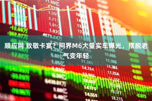 顺应网 致敬卡宴？问界M6大量实车曝光，摆脱老气变年轻