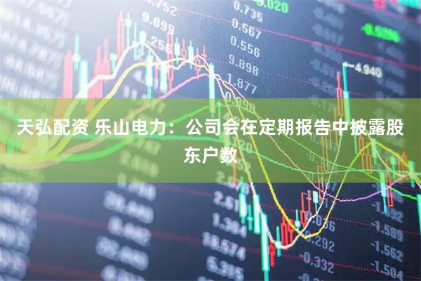 天弘配资 乐山电力：公司会在定期报告中披露股东户数