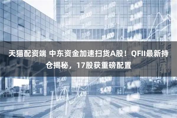 天猫配资端 中东资金加速扫货A股！QFII最新持仓揭秘，17股获重磅配置