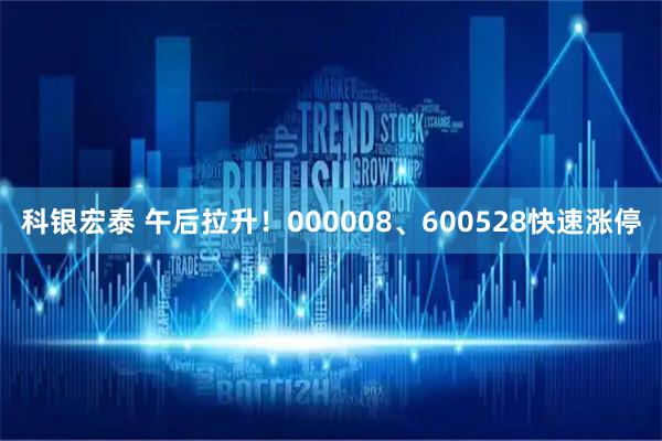 科银宏泰 午后拉升！000008、600528快速涨停