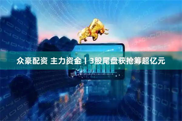 众豪配资 主力资金丨3股尾盘获抢筹超亿元
