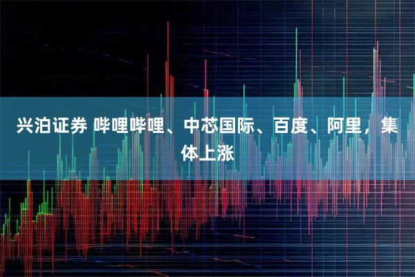 兴泊证券 哔哩哔哩、中芯国际、百度、阿里，集体上涨