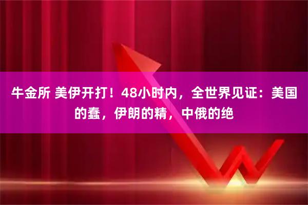 牛金所 美伊开打!48小时内,全世界见证:美国的蠢,伊朗的精,中俄的绝