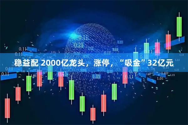 稳益配 2000亿龙头，涨停，“吸金”32亿元