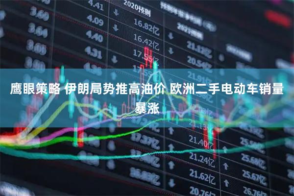 鹰眼策略 伊朗局势推高油价 欧洲二手电动车销量暴涨