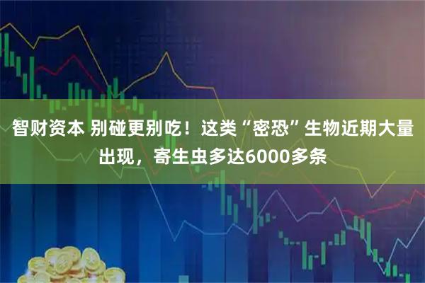 智财资本 别碰更别吃！这类“密恐”生物近期大量出现，寄生虫多达6000多条