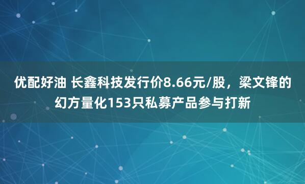优配好油 长鑫科技发行价8.66元/股，梁文锋的幻方量化153只私募产品参与打新