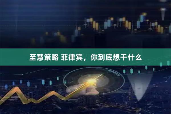 至慧策略 菲律宾，你到底想干什么